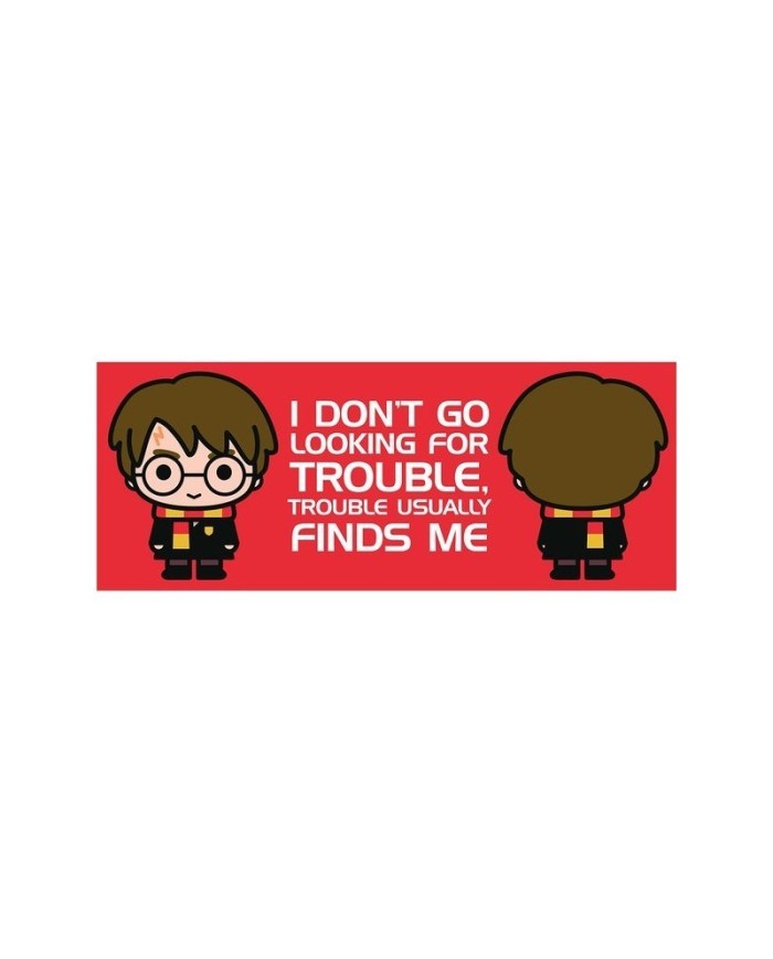 Taza Harry Potter Front and Back