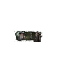 Taza Lord of The Rings - Gandalf