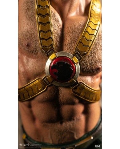 Hawkman - Rebirth Premium Collectibles XM Studios