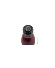 Botella 350ml - Anden 9 3/4 - Harry Potter