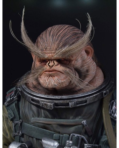 Star Wars Rogue One Busto 1/6 Bistan