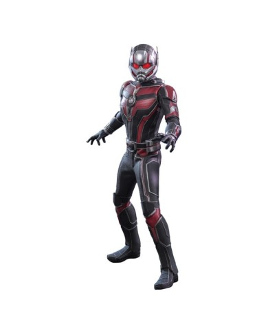 Ant-Man - Ant-Man and the Wasp: Quantumania - Sixth Scale Figure by Hot Toys