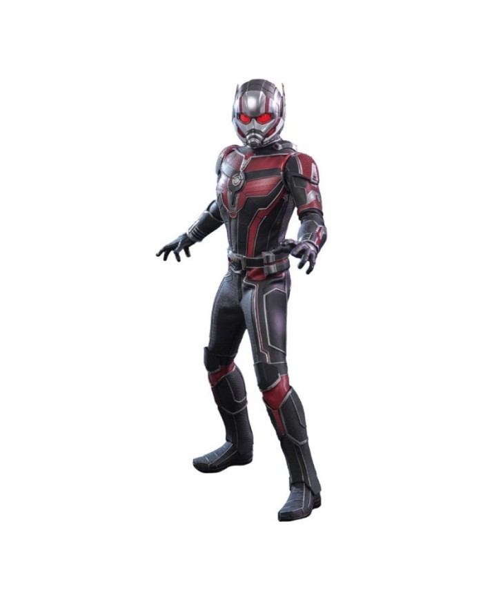 Ant-Man - Ant-Man and the Wasp: Quantumania - Sixth Scale Figure by Hot Toys