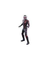 Ant-Man - Ant-Man and the Wasp: Quantumania - Sixth Scale Figure by Hot Toys