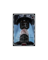 Darth Vader™ (Deluxe Version) (Return of the Jedi 40th Anniversary Collection) Sixth Scale Figure by Hot Toys