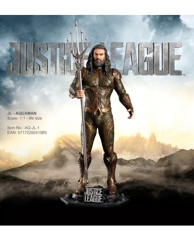 Justice League – Aquaman (licensed figure)