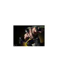 Bane - Classic 1/4 Scale DC Premium Collectibles statue
