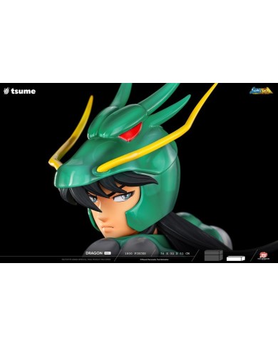 Shiryu HQS