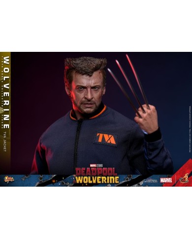 Wolverine (TVA Jacket Version) - Deadpool & Wolverine Movie Masterpiece Figura 1/6