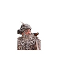 Radagast - El Señor de los Anillos - El Hobbit Estatua 1/6