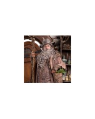 Radagast in Rhosgobel Limited Edition - El Señor de los Anillos Estatua - El Hobbit