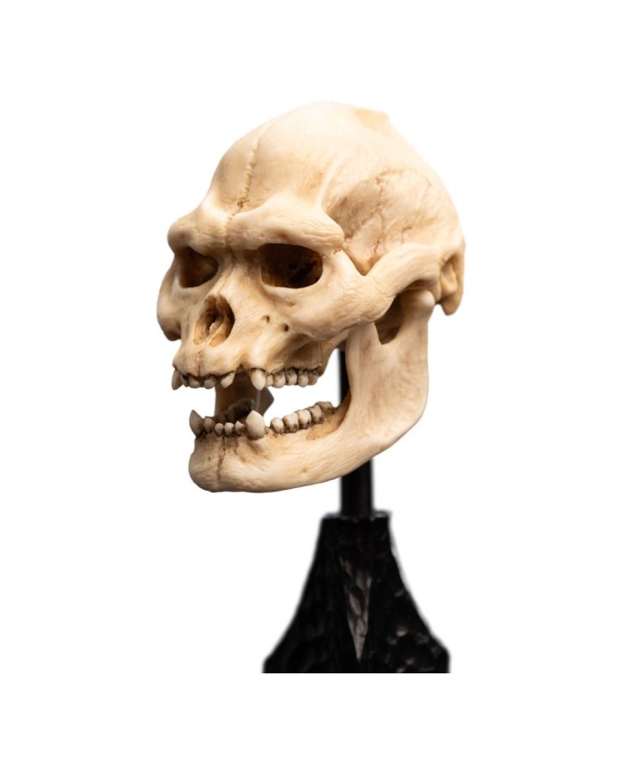 Skull of Lurtz El Señor de los Anillos