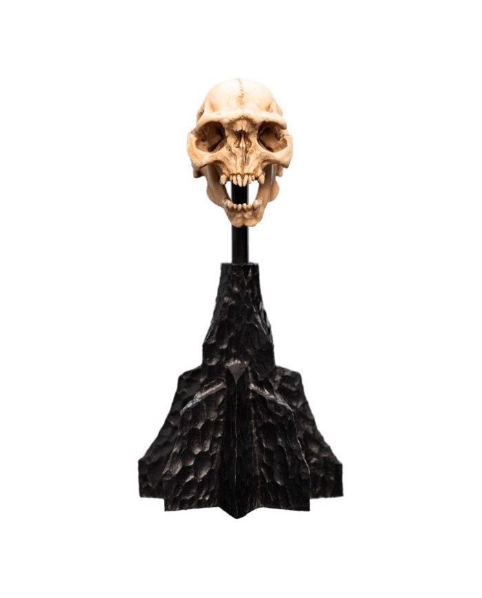 Skull of a Moria Orc El Señor de los Anillos Estatua