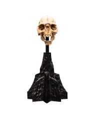 Skull of a Moria Orc El Señor de los Anillos Estatua