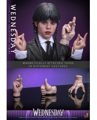Wednesday - Miércoles Figura 1/6