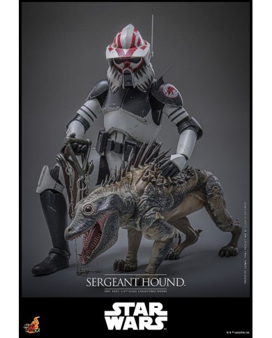 Sergeant Hound Star Wars: The Clone Wars Figura 1/6