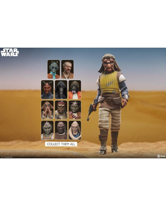 Vizam Star Wars Figura 1/6