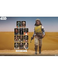 Vizam Star Wars Figura 1/6