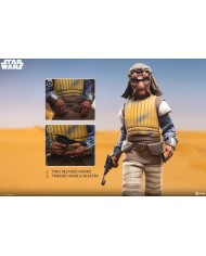 Vizam Star Wars Figura 1/6