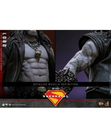 Lobo DC Comics Movie Masterpiece Figura 1/6