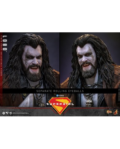 Lobo DC Comics Movie Masterpiece Figura 1/6