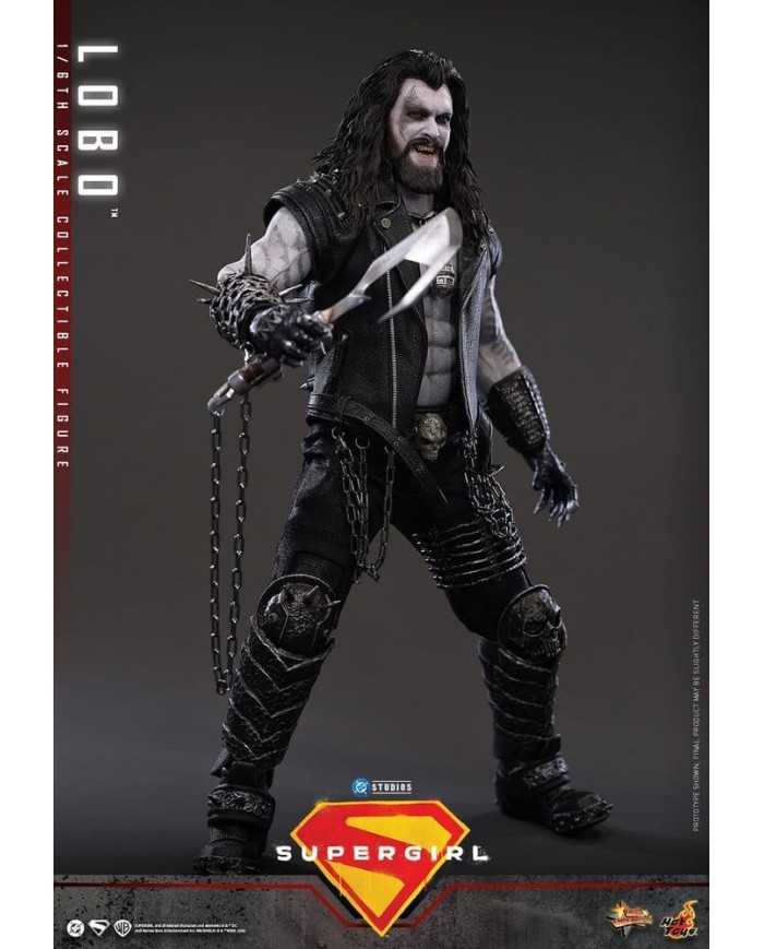 Lobo DC Comics Movie Masterpiece Figura 1/6