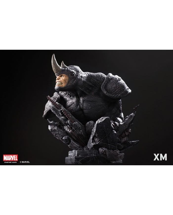 Rhino Bust
