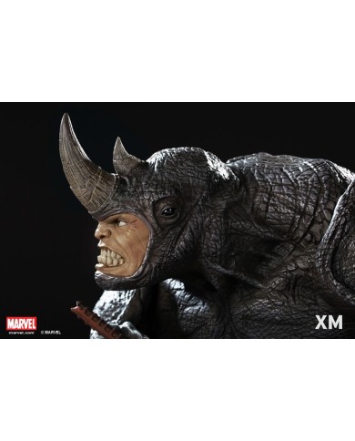 Rhino Bust