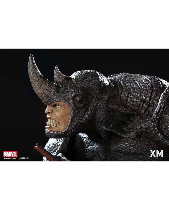 Rhino Bust